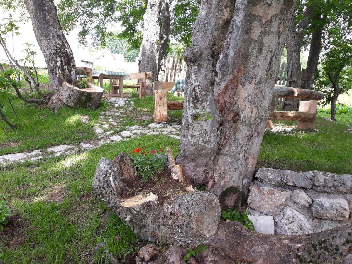 Apartments Javorje Zabljak Buitenkant foto