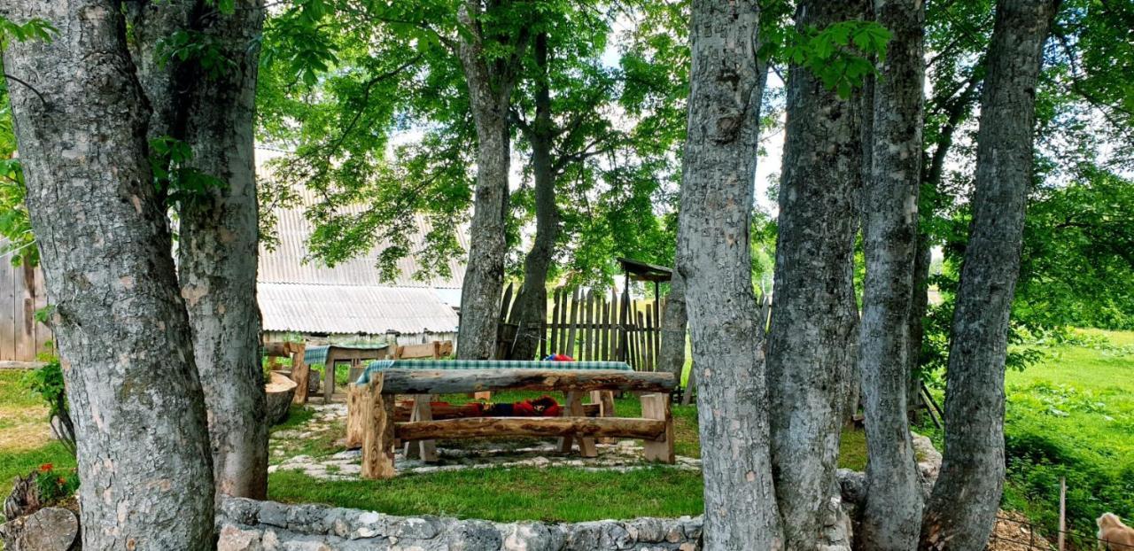 Apartments Javorje Zabljak Buitenkant foto